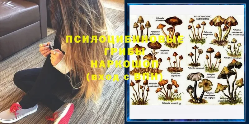 Галлюциногенные грибы GOLDEN TEACHER  купить наркотики цена  Сарапул 